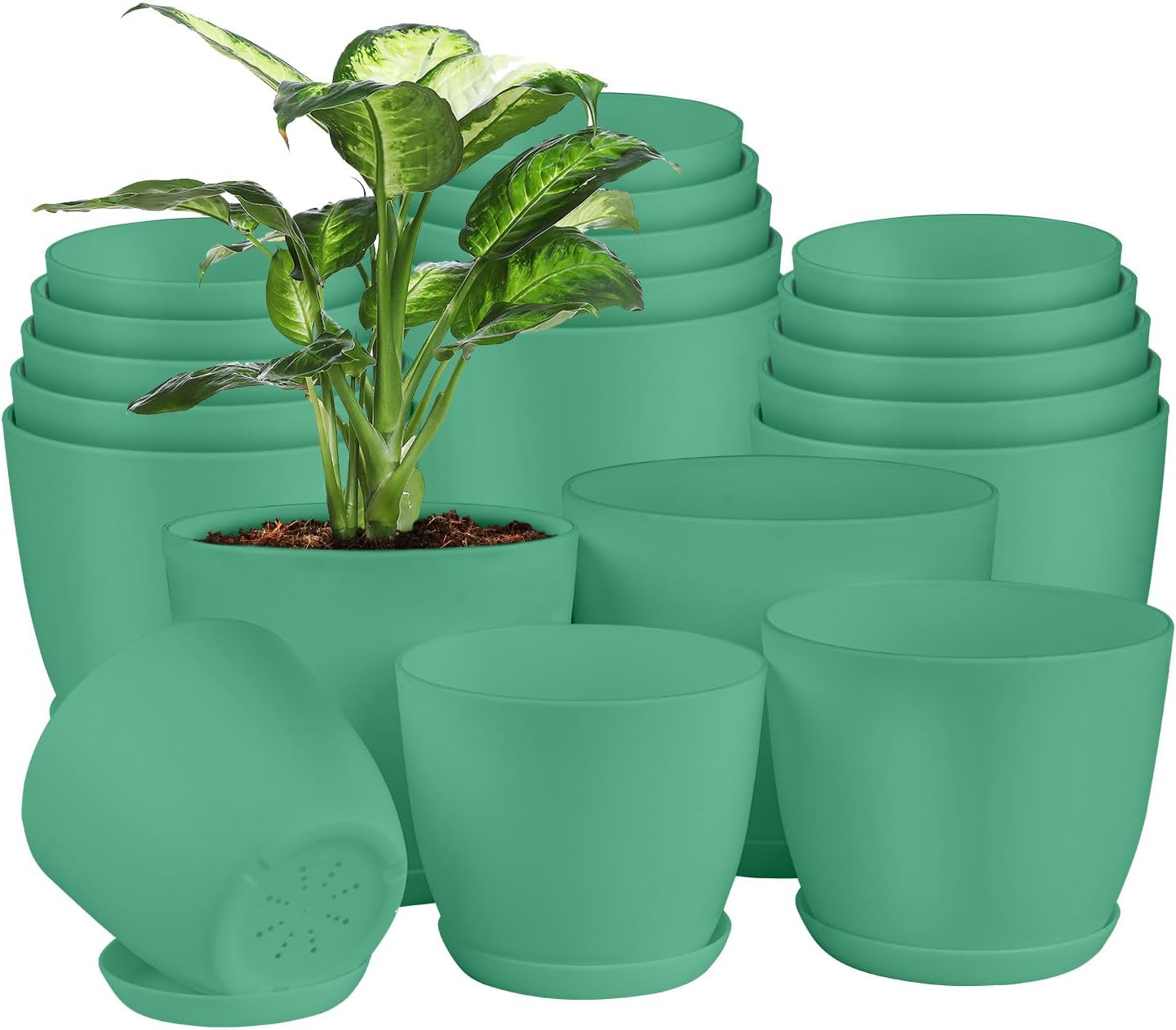 Planter Pots with Drainage Holes - Lightweight, Durable, & Space-Saving Pots for Indoor and Outdoor - Versatile Functionality, Simple Modern Design, Set of 20 Plastic Planter Pots Mint