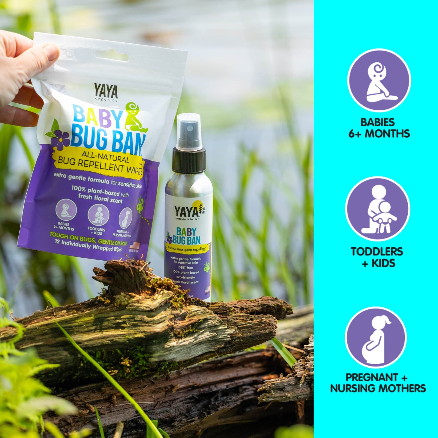 Baby Bug Ban 4 oz Repellent Bug Spray + Repellent Wipes Bundle - 12 wipes