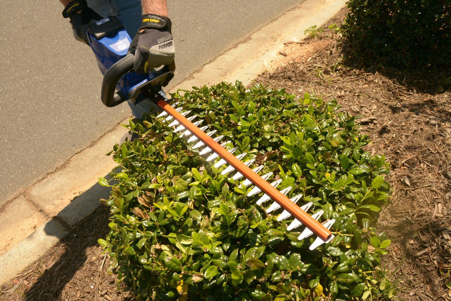 Wild Badger Power Cordless 40 Volt 24-inch Brushed Hedge Trimmer, Includes 2.0 Ah Battery and Clip-on Charger