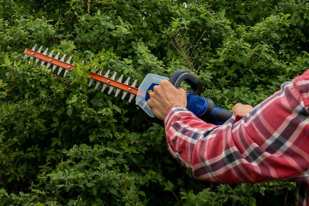 Wild Badger Power Cordless 20 Volt 22-inch Brushed Hedge Trimmer, Includes 2.0 Ah Battery and Clip-on Charger