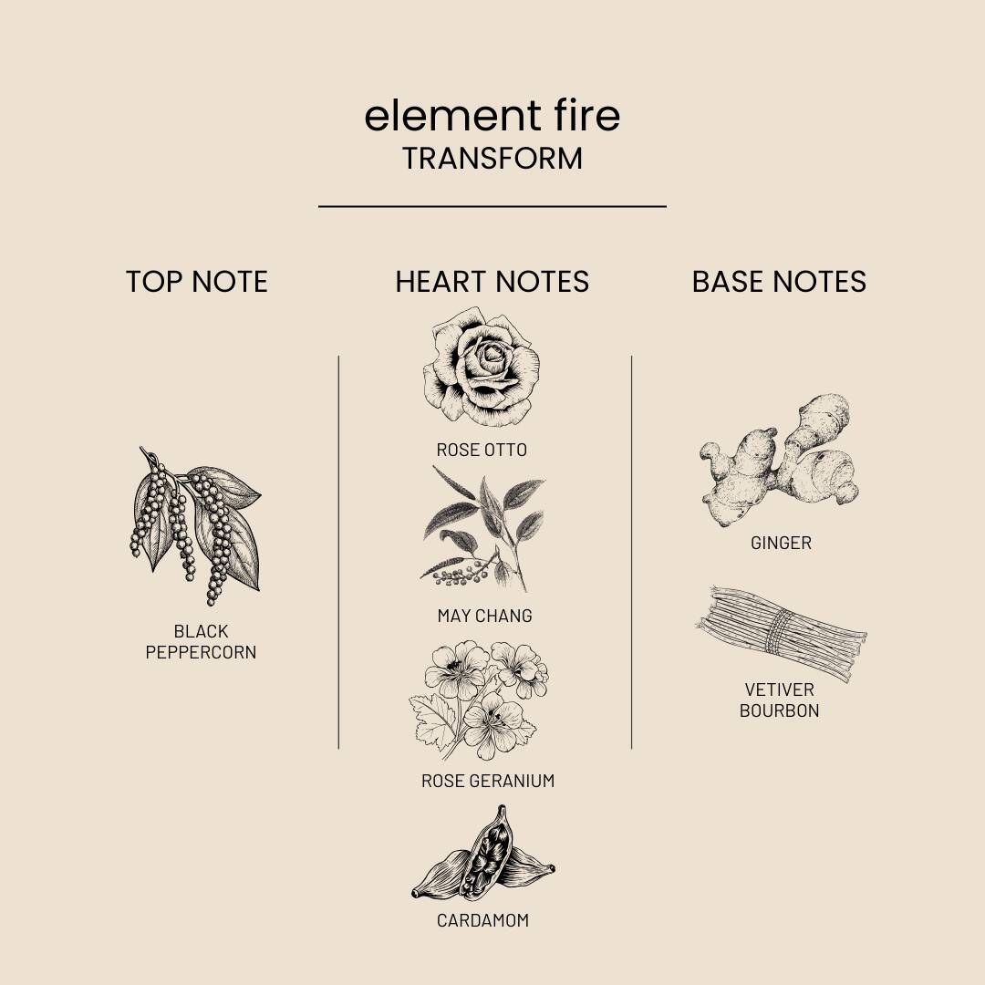 Fire scent notes: Black Peppercorn, Rose, May Chang, Rose Geranium, Cardamom, Ginger, Vetiver Bourbon