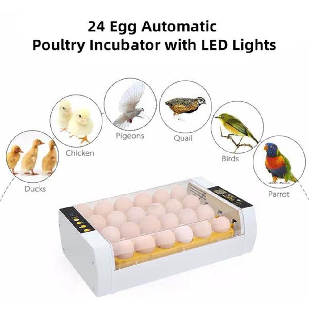 DISHYKOOKER Poultry Automatic Incubator for 24 Eggs with LED Egg Lighter Water Injector White