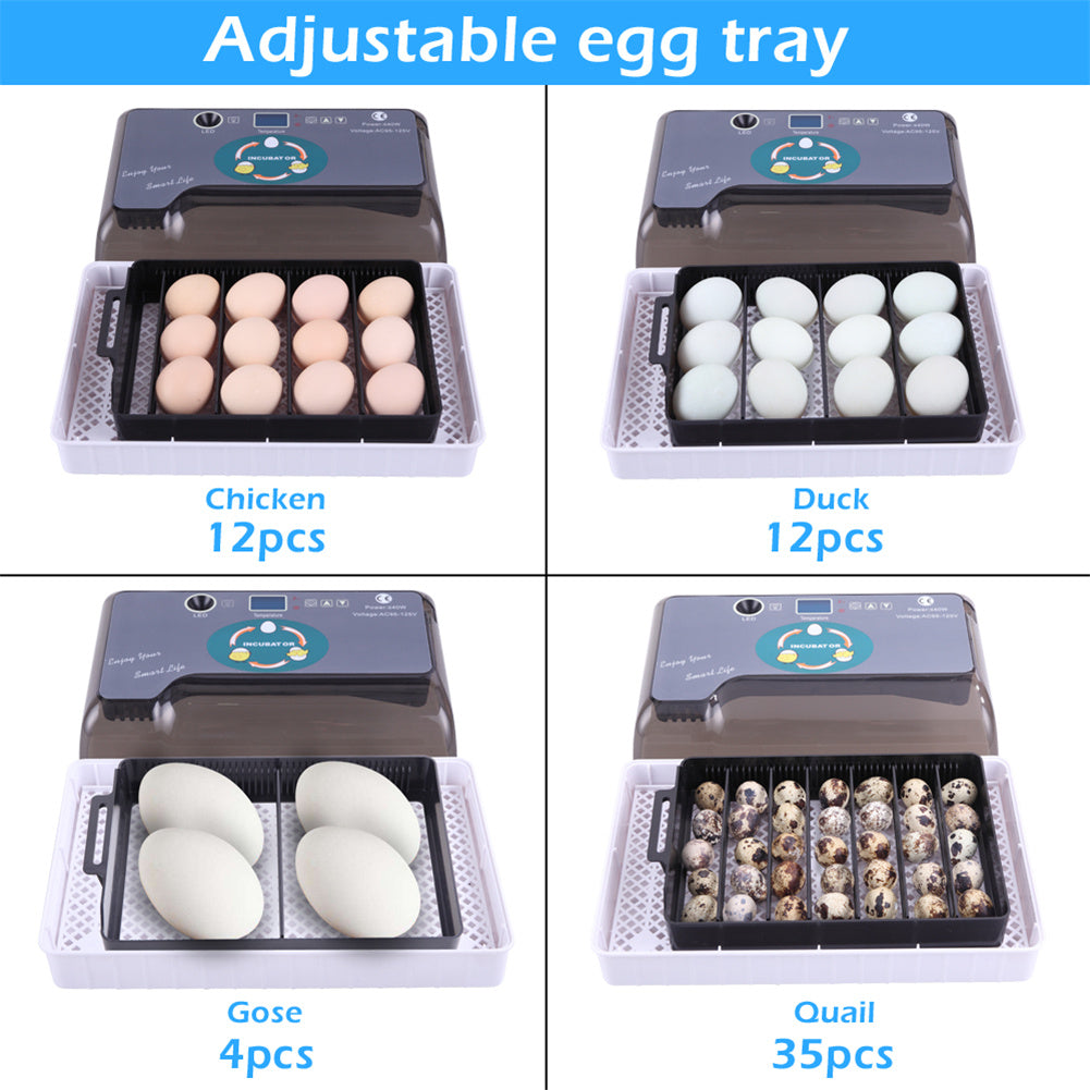 DISHYKOOKER 40W Digital Eggs Incubators for Hatching Chicken Ducks Birds Eggs Grey