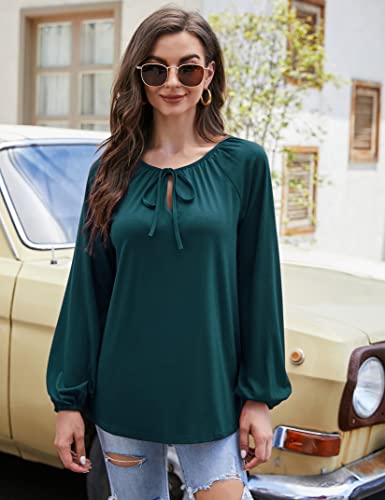 Womens Long Lantern Sleeve Tops Drawstring V Neck Shirts Tunic Top Casual Loose Blouse