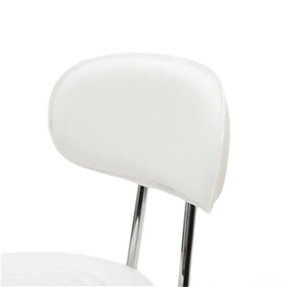 ALICIAN Salon Stool Leather Sponge Adjustable Spa Bar Stool White