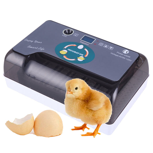 DISHYKOOKER 40W Digital Eggs Incubators for Hatching Chicken Ducks Birds Eggs Grey