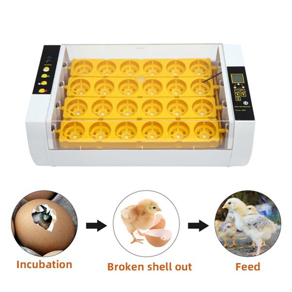 DISHYKOOKER Poultry Automatic Incubator for 24 Eggs with LED Egg Lighter Water Injector White