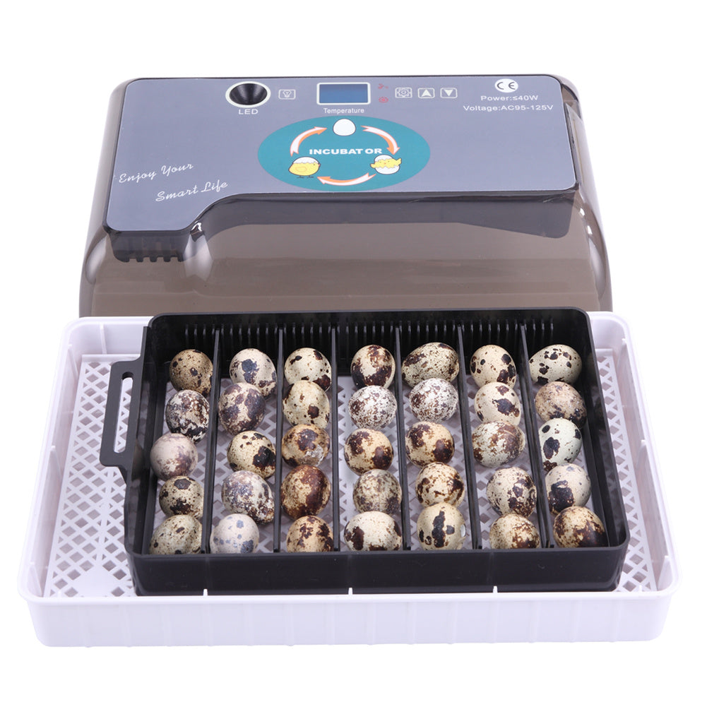 DISHYKOOKER 40W Digital Eggs Incubators for Hatching Chicken Ducks Birds Eggs Grey