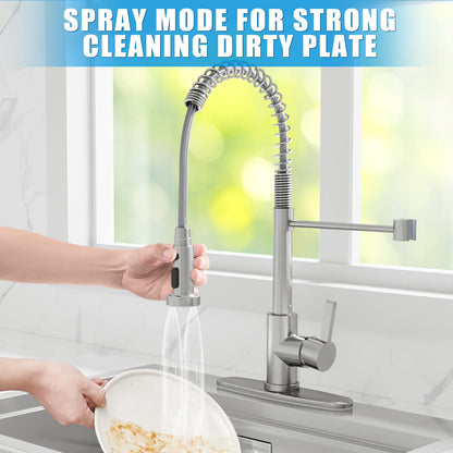 GARVEE Kitchen Faucet With Pull Down Sprayer Spring Sink Faucets